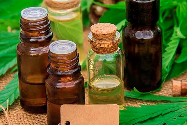 tipos de aceite de cannabis