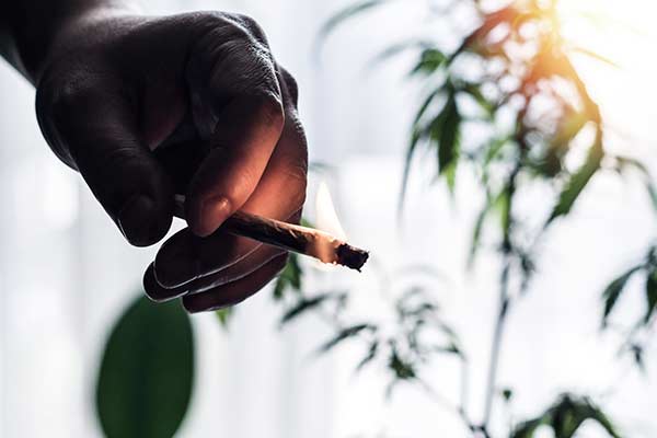 Cannabis fumado para el dolor neuropático crónico: un ensayo controlado aleatorio
