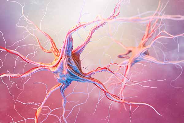 cannabis y epilepsia
