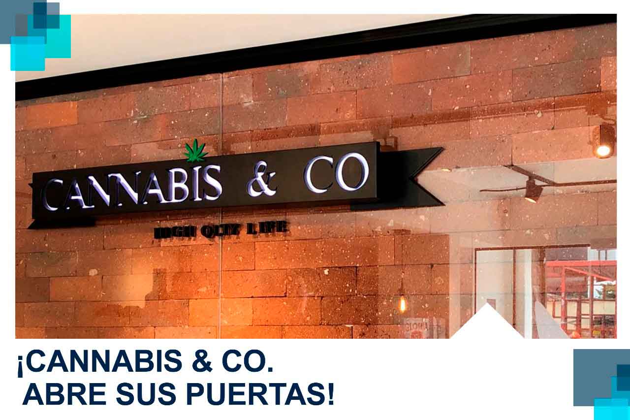 cannabisco abre puertas