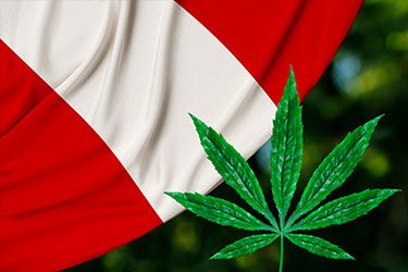 cannabis-medicinal-en-peru